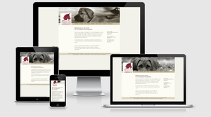 Website Tierärztliches Orthopädie Team Frankfurt, Frankfurt/Main